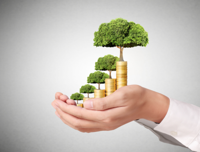 Cómo te Ayudan los Ejemplos Financieros a Mejorar tus Finanzas